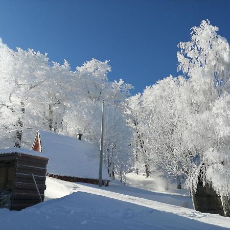 Mountain Village Žabljak Exterior foto