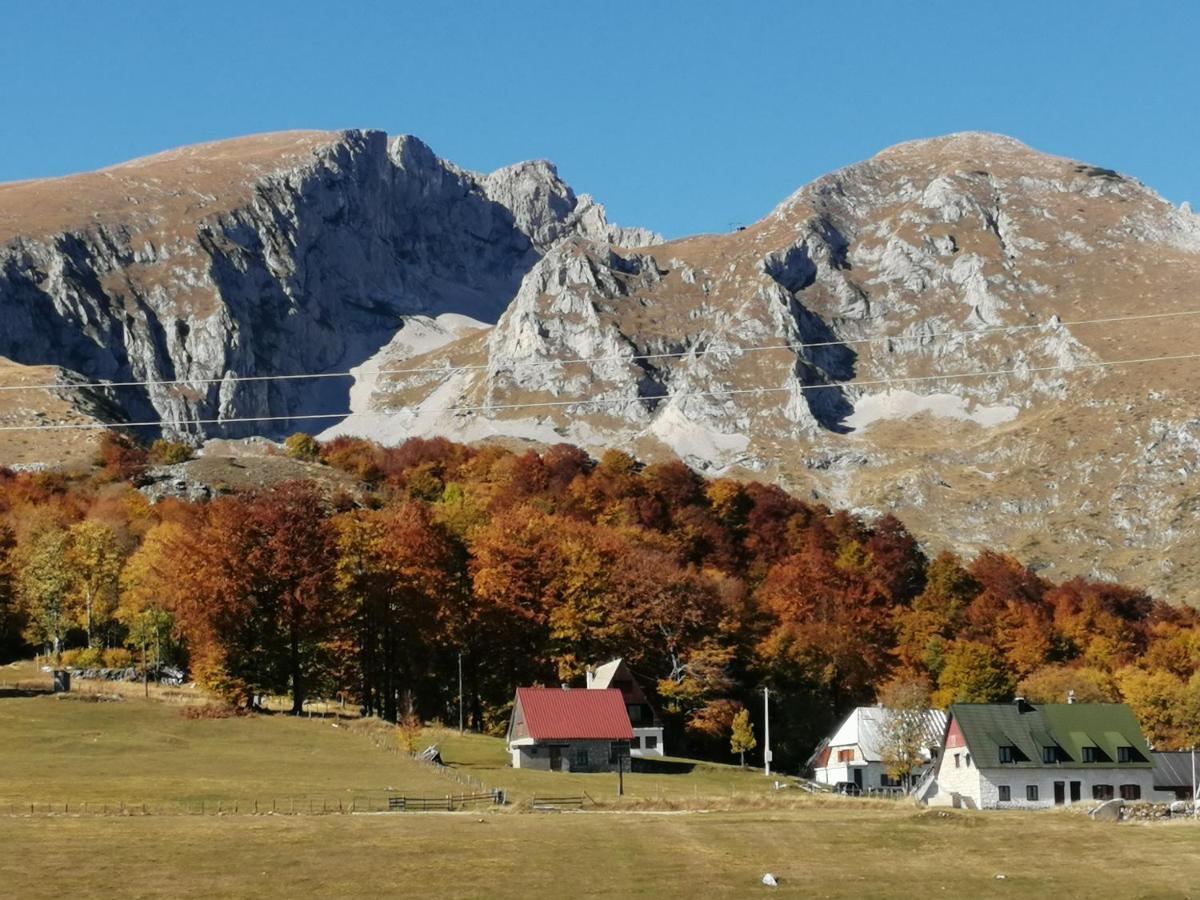 Mountain Village Žabljak Exterior foto
